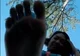 Giantess Ashley 