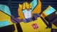 Bumblebee -TFC- 