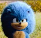 Fluffy Sonic