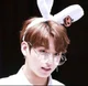 Jungkook bunny
