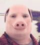 John pork 