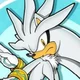 Silver The Hedgehog 