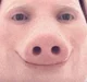John pork