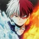 Shoto Todoroki 