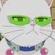 Saiki cat form