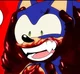 Sonic T Hungry Hero
