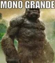 Mono grande