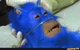 Dying sonic 