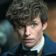 Newt scamander 