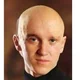 Bald Malfoy