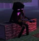 Bart The Enderman