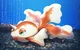 Goldeen