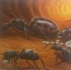 Queen Ant