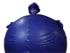 Blueberry Aunt Cass