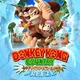Donkey Kong CTF