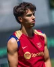 Joao felix