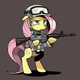 CommanderFluttershy 