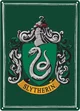 Slytherin boys