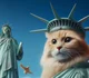 America Cat