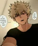 Katsuki Bakugou 
