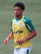 Murilo cerqueira