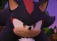 -Shadow T Hedgehog-