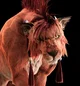 Red XIII