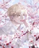 Tao Ming-Bl