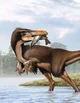 Austroraptor