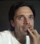 sebastian stan
