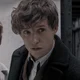 Newt Scamander