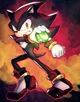 Shadow the hedgehog