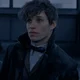 Newt Scamander