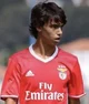Joao felix