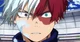 Shoto Todoroki 