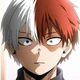 Shoto Todoroki