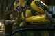 Bumblebee -