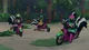 The scooter skunks 