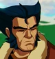 Wolverine 
