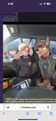 Lynx furry cop