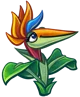 Bird of Paradise