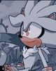 - Silver T Hedgehog 