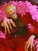 Doflamingo