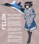 Su-57 Felon