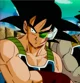 Bardock 