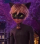 Cat Noir
