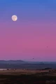 Sky Pink For Moon