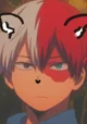Shoto Todoroki fox