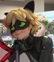 Chat Noir