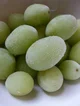 frozen grapes